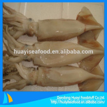 supplier of all types whole round frozen squid